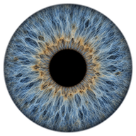 Blue-gray iris texture