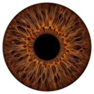 Brown iris texture
