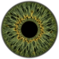 Green iris texture