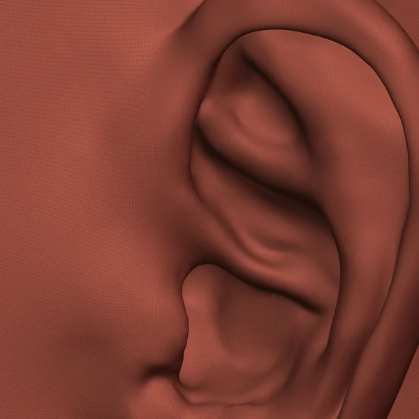Close-up of the projected ear at the top Multires level, every fold and wrinkle carried over from the reference sculpt.
