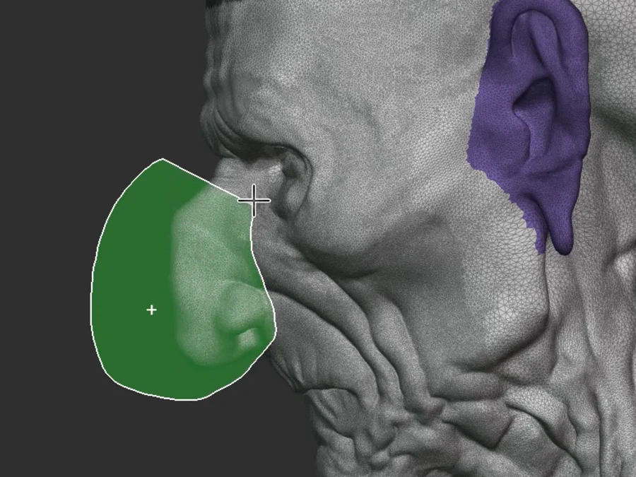 A green lasso mask drawn over the nose and mouth while the ear stays isolated in its own violet Face Set.