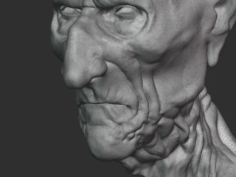Close-up of the sculpt showing dense triangular topology following every wrinkle.